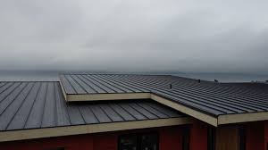 Best Sheet Metal Roofing  in , TN